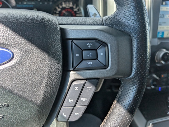 2019 Ford F-150 Raptor photo 19