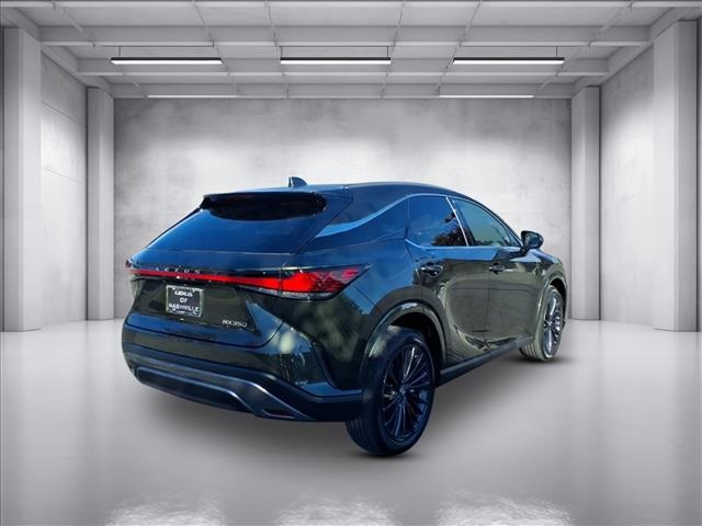 2025 Lexus RX 350 Premium photo 3