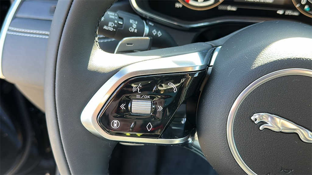 2026 Jaguar F-PACE P250 R-Dynamic S photo 15