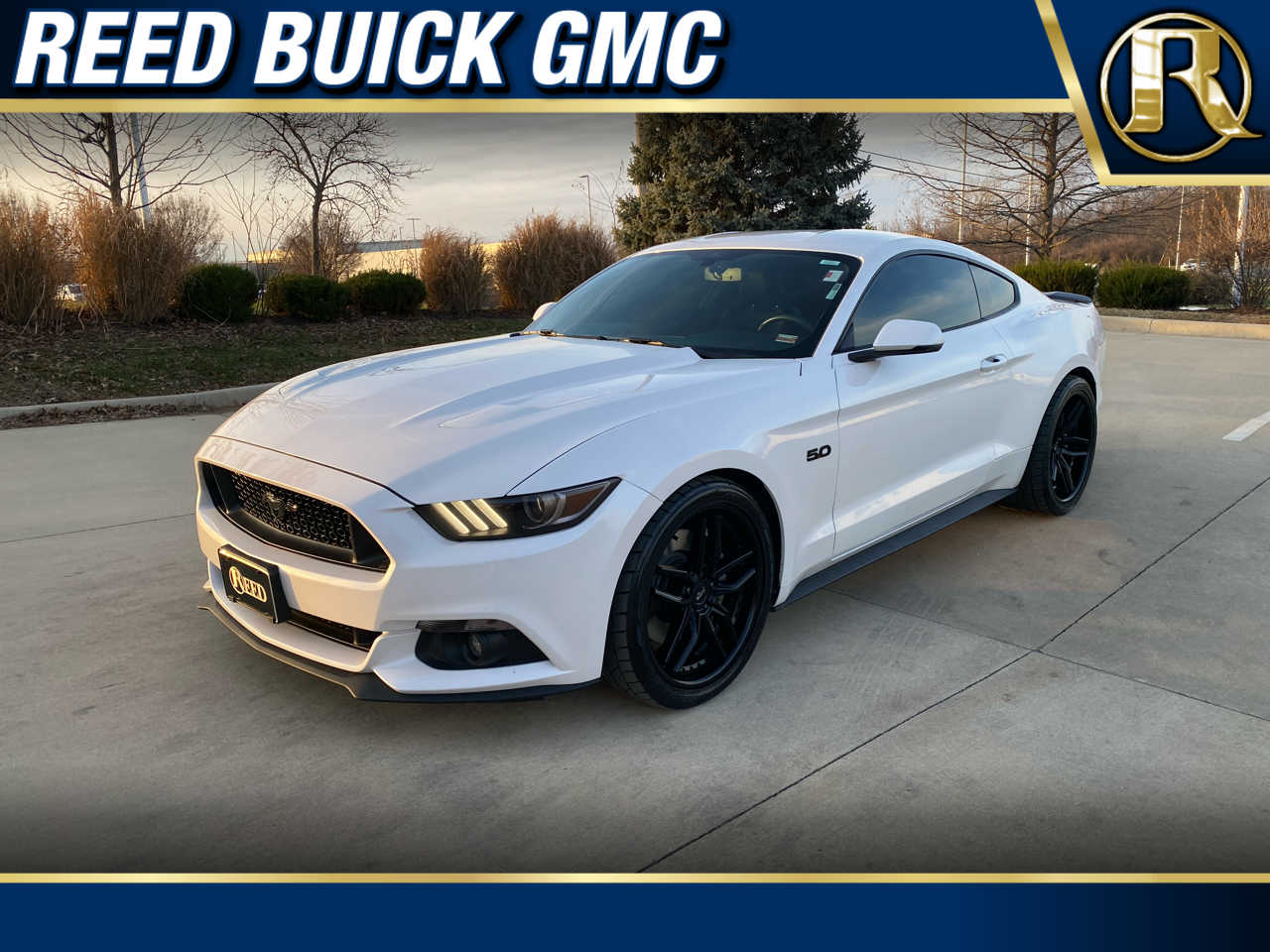 2017 Ford Mustang GT's photo