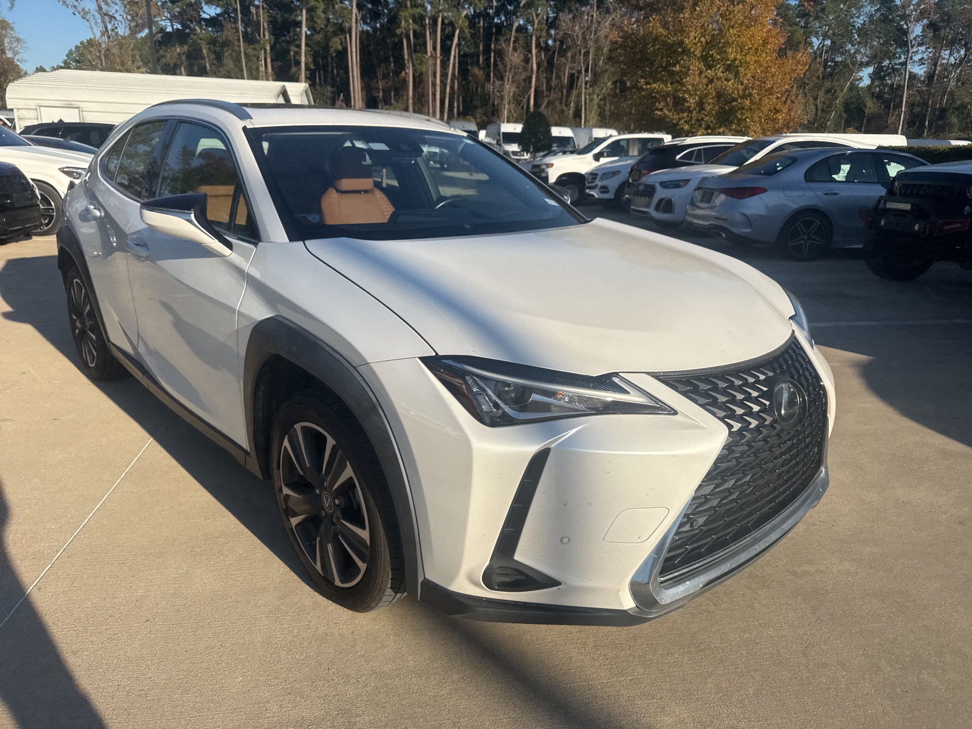 2020 Lexus UX 200's photo