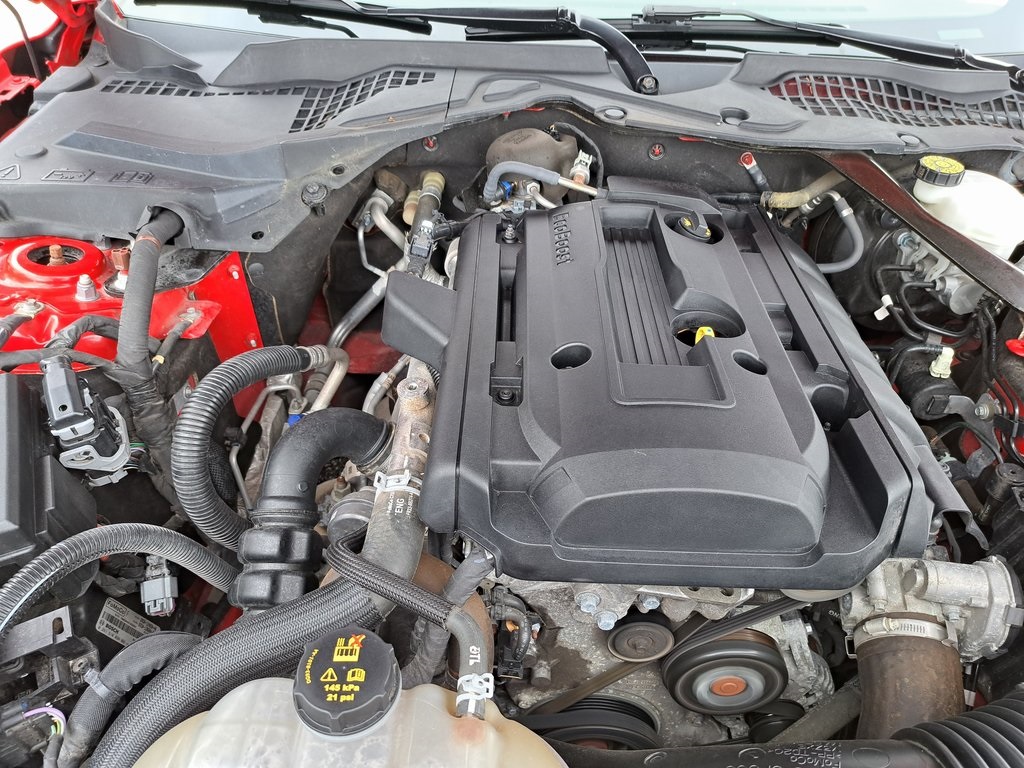 2020 Ford Mustang EcoBoost Premium photo 24