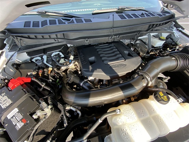 2023 Ford F-150 Tremor photo 18