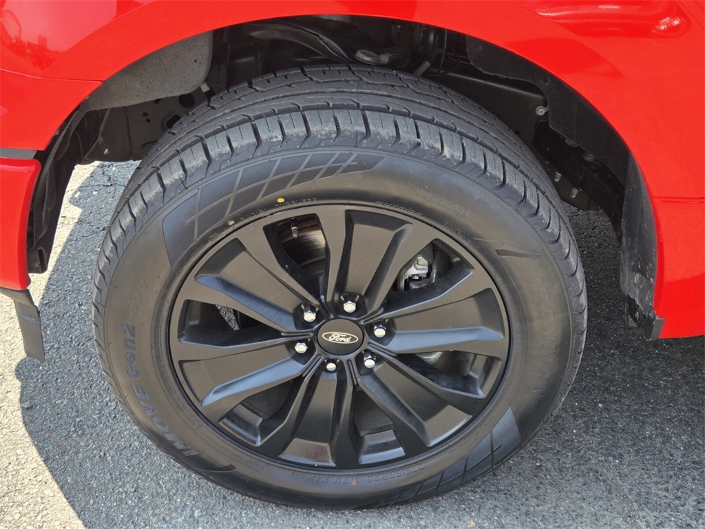 2019 Ford F-150 XL photo 9