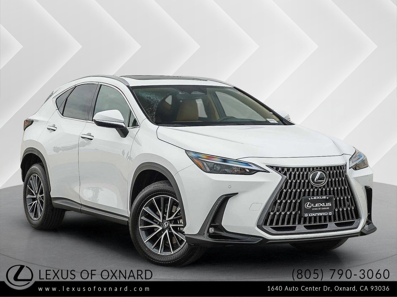 2026 Lexus NX 350's photo