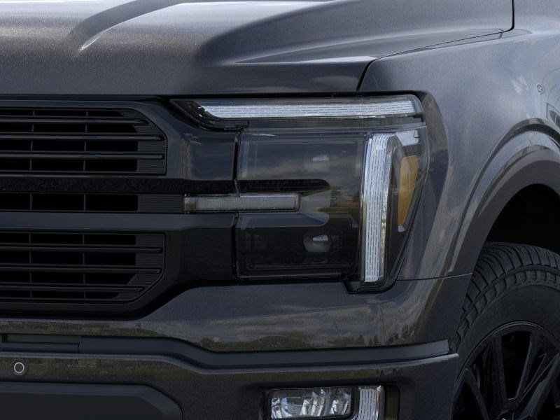 2025 Ford F-150 Platinum photo 16