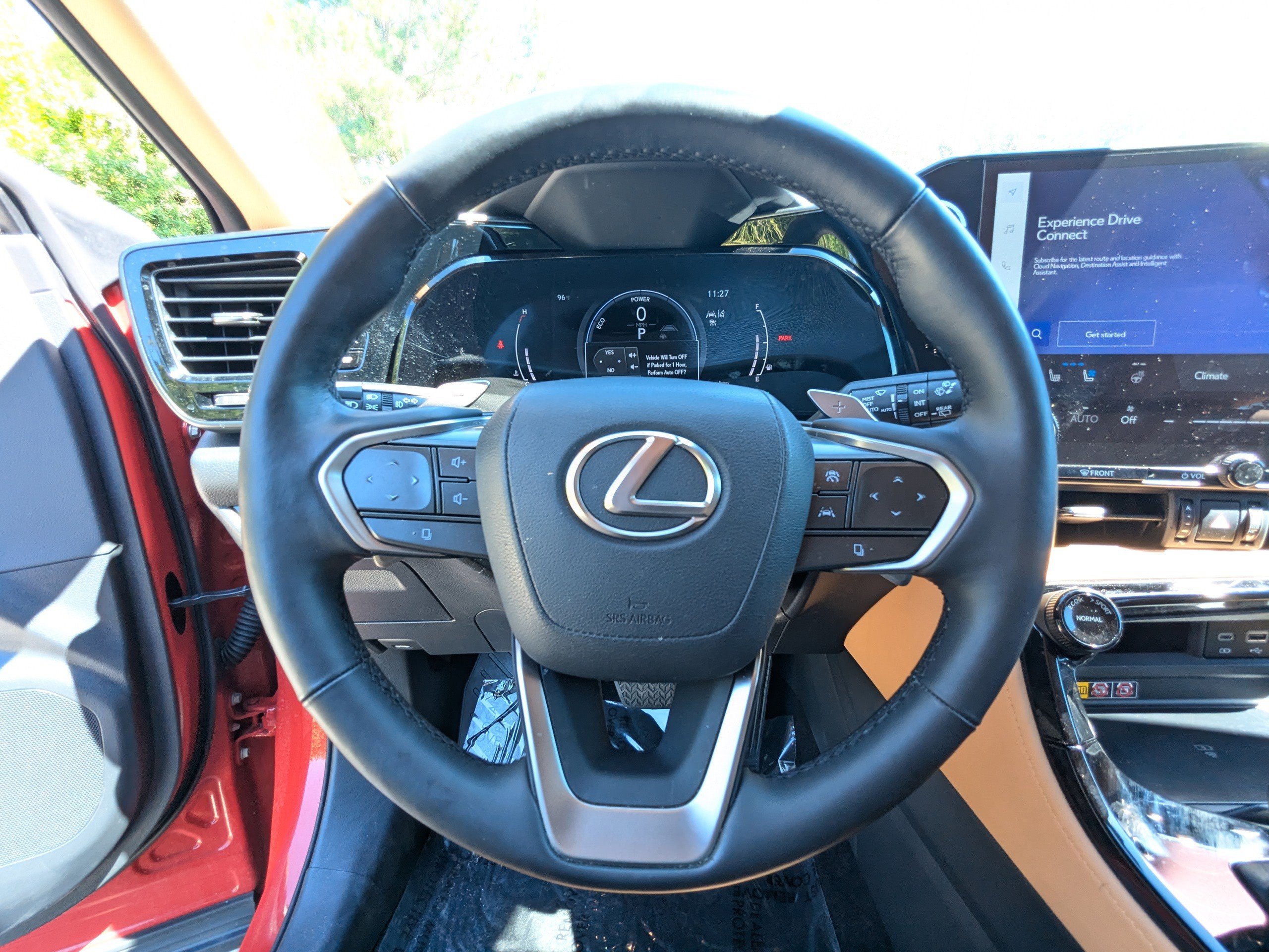 2025 Lexus NX 350h Luxury photo 33