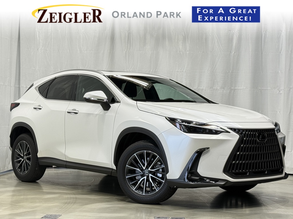 2024 Lexus NX 350's photo
