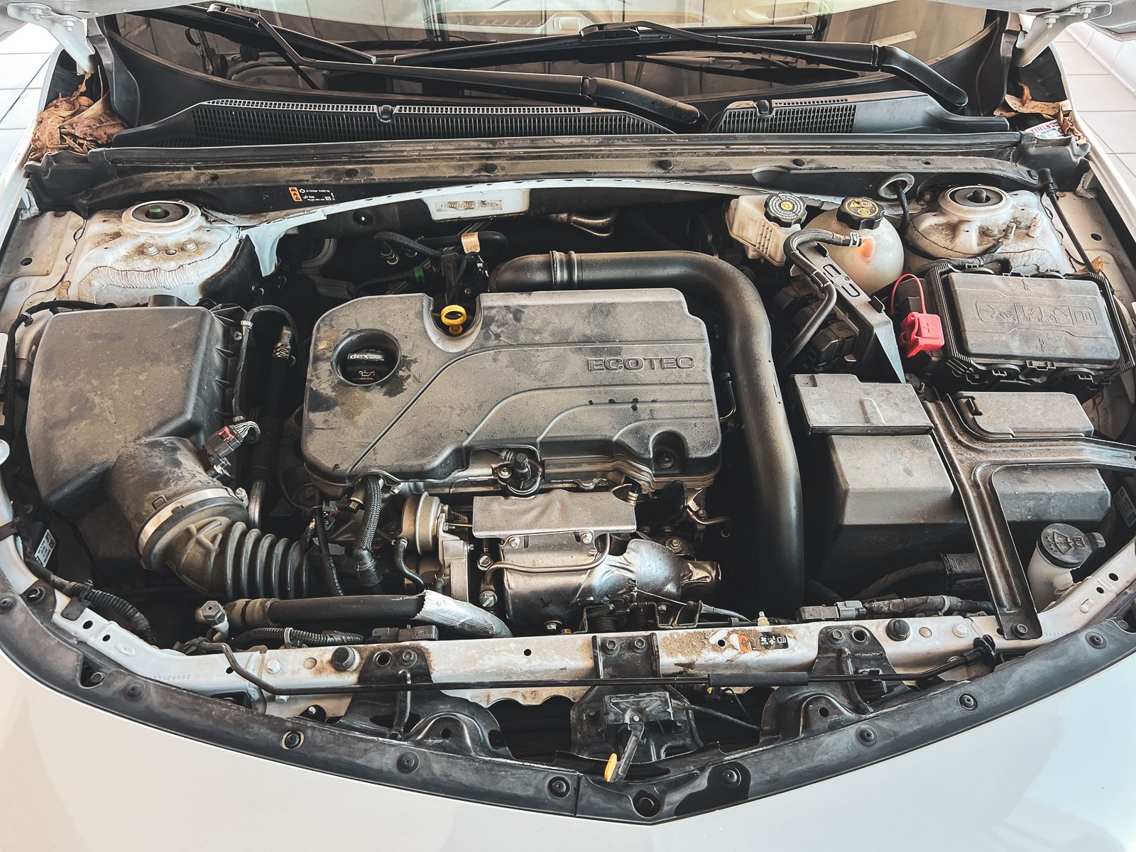 2023 Chevrolet Malibu 1LT photo 31