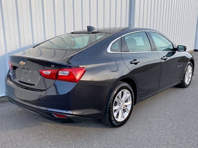 2023 Chevrolet Malibu 1LT photo 3
