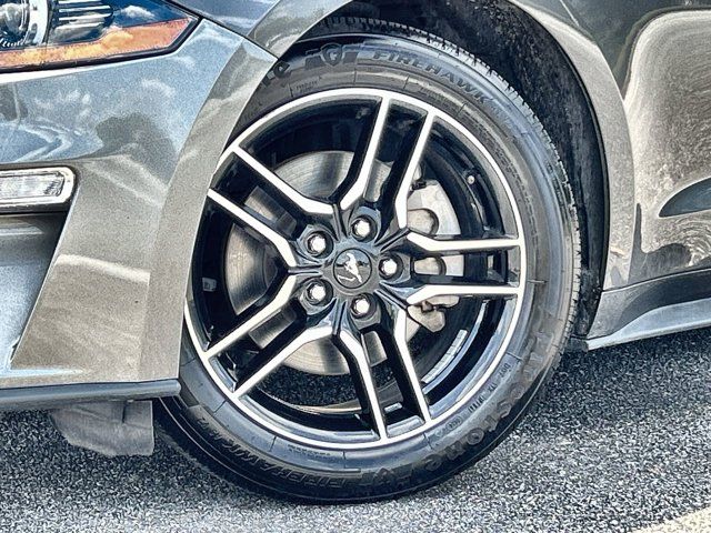 2023 Ford Mustang EcoBoost Premium photo 6