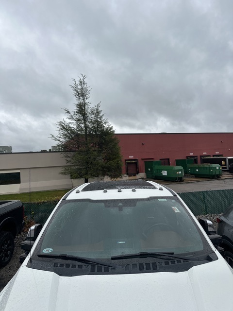 2020 Ford F-250 Platinum photo 8