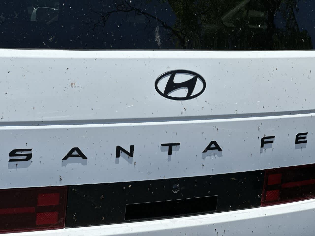 2026 Hyundai Santa Fe Calligraphy photo 10