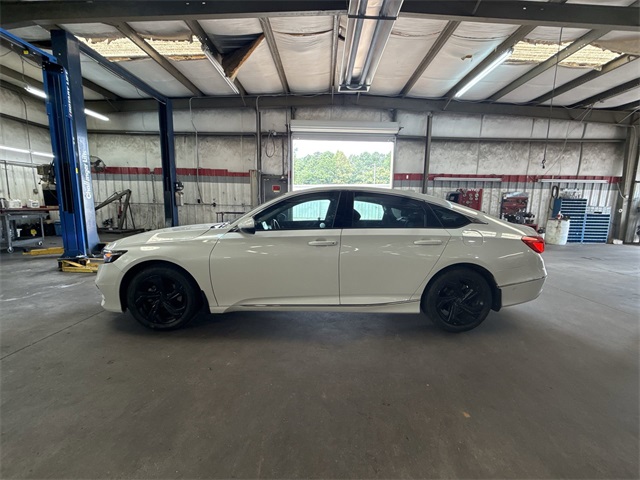 2019 Honda Accord EX-L photo 2