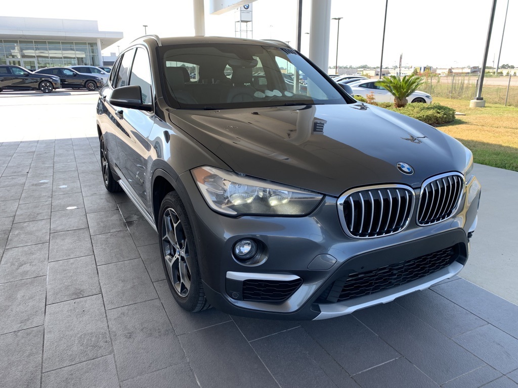 2018 Bmw X1 sDrive28i photo 2