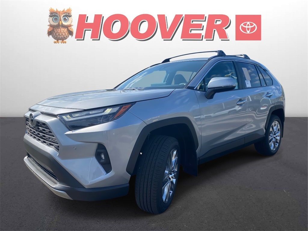 2025 Toyota RAV4 Limited photo 3