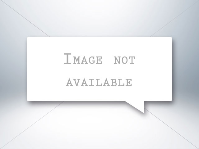 2014 Chevrolet Silverado 1500 Work Truck photo 4