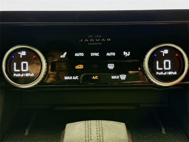 2024 Jaguar F-PACE P250 R-Dynamic S photo 17