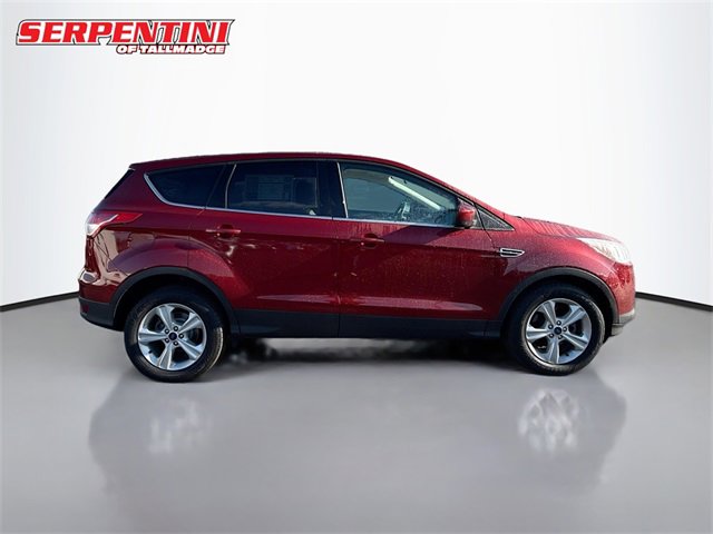 2014 Ford Escape SE photo 4