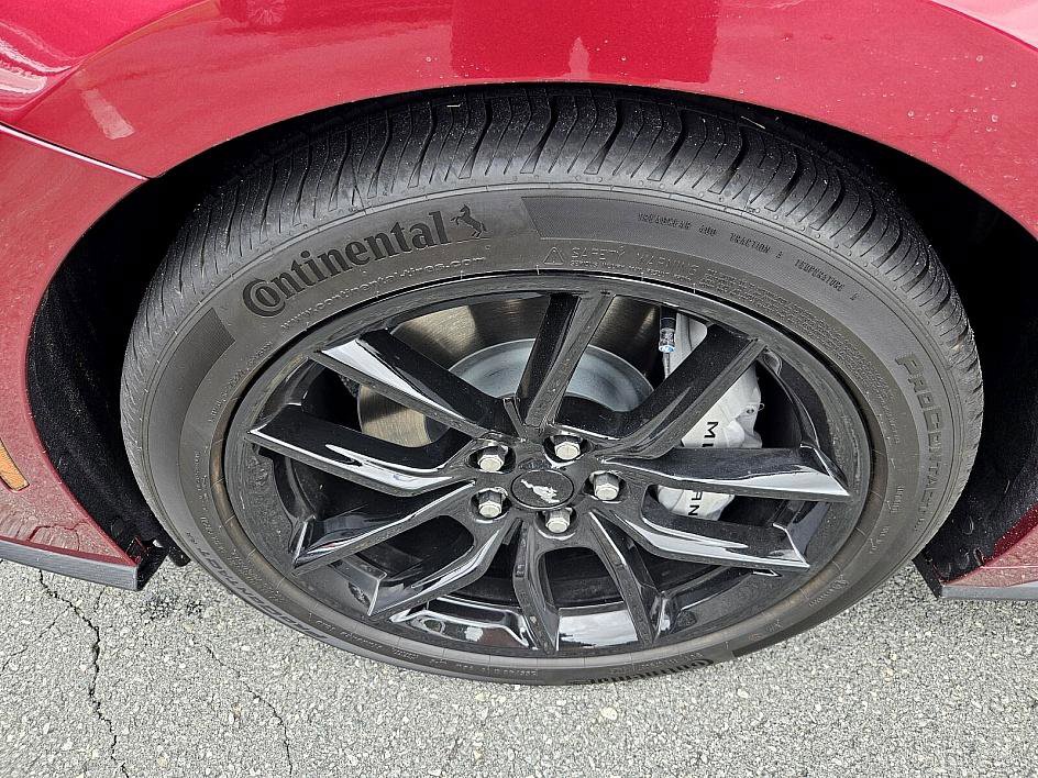 2025 Ford Mustang GT Premium photo 18
