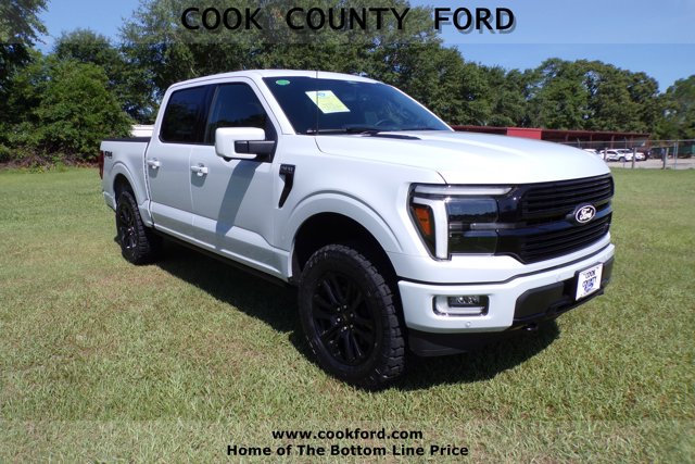 2025 Ford F-150 Platinum's photo