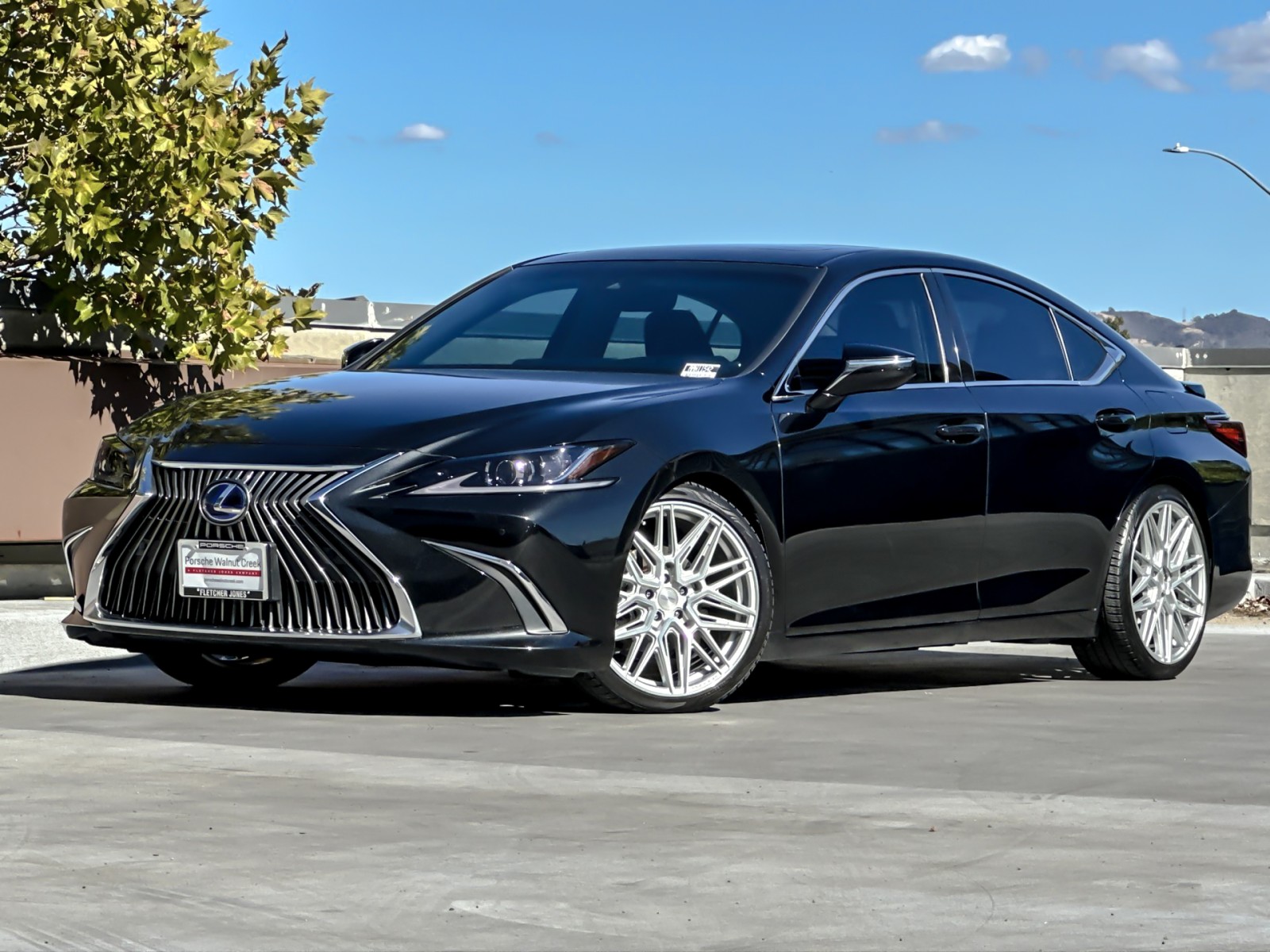2021 Lexus ES 300h photo 2