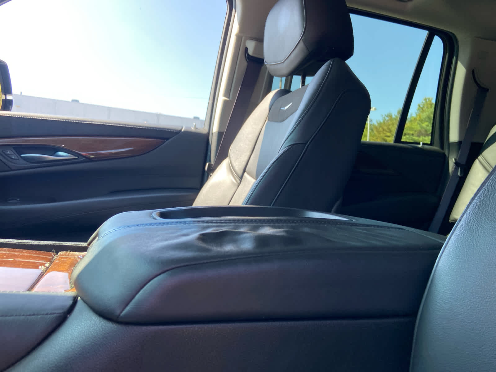 2016 Cadillac Escalade Luxury photo 18