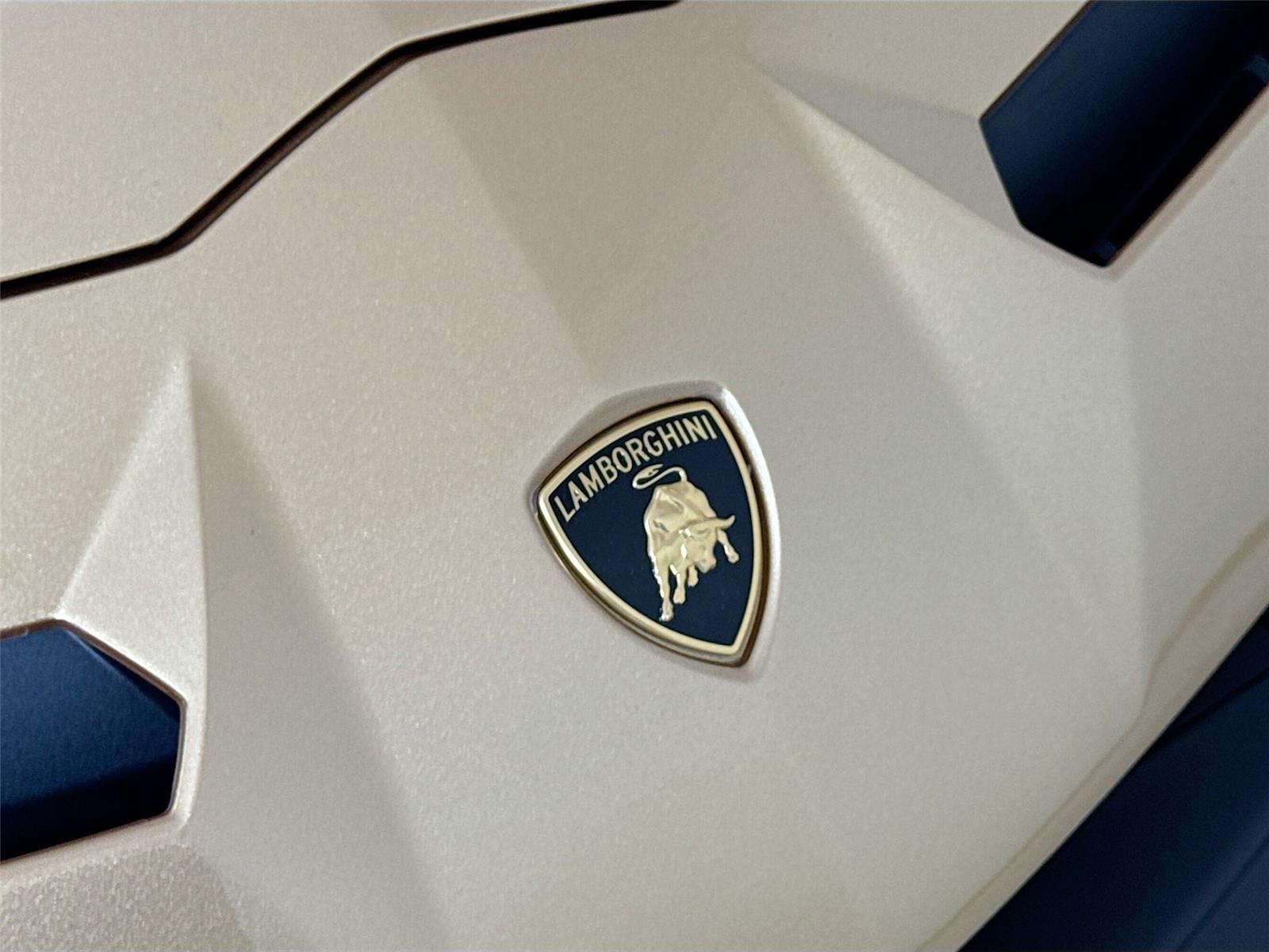 2019 Lamborghini Aventador SVJ photo 27