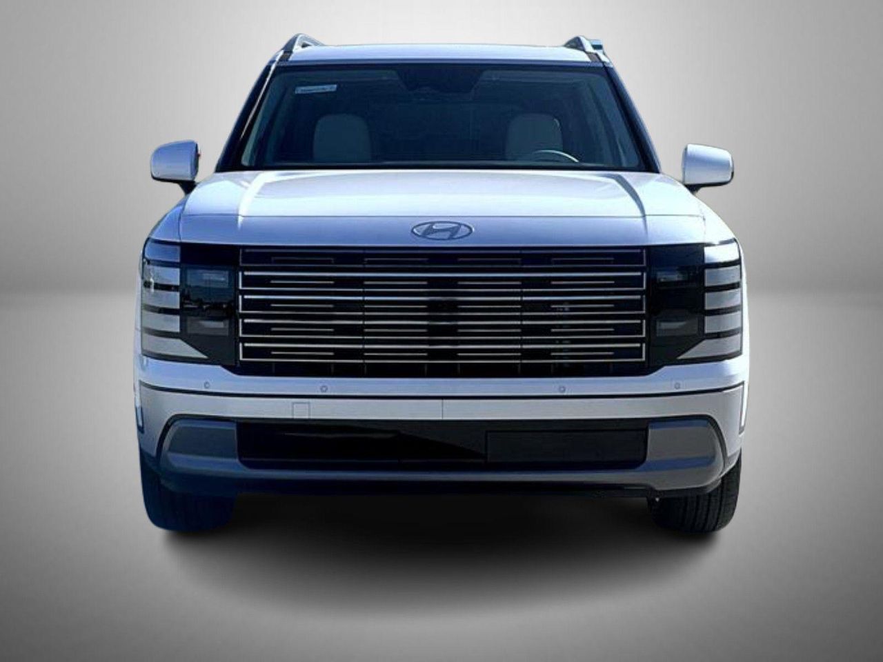 2026 Hyundai Palisade Limited photo 2