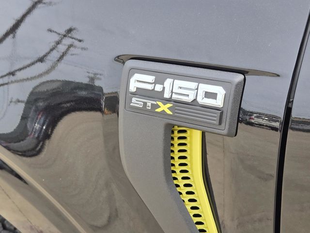 2025 Ford F-150 STX photo 10