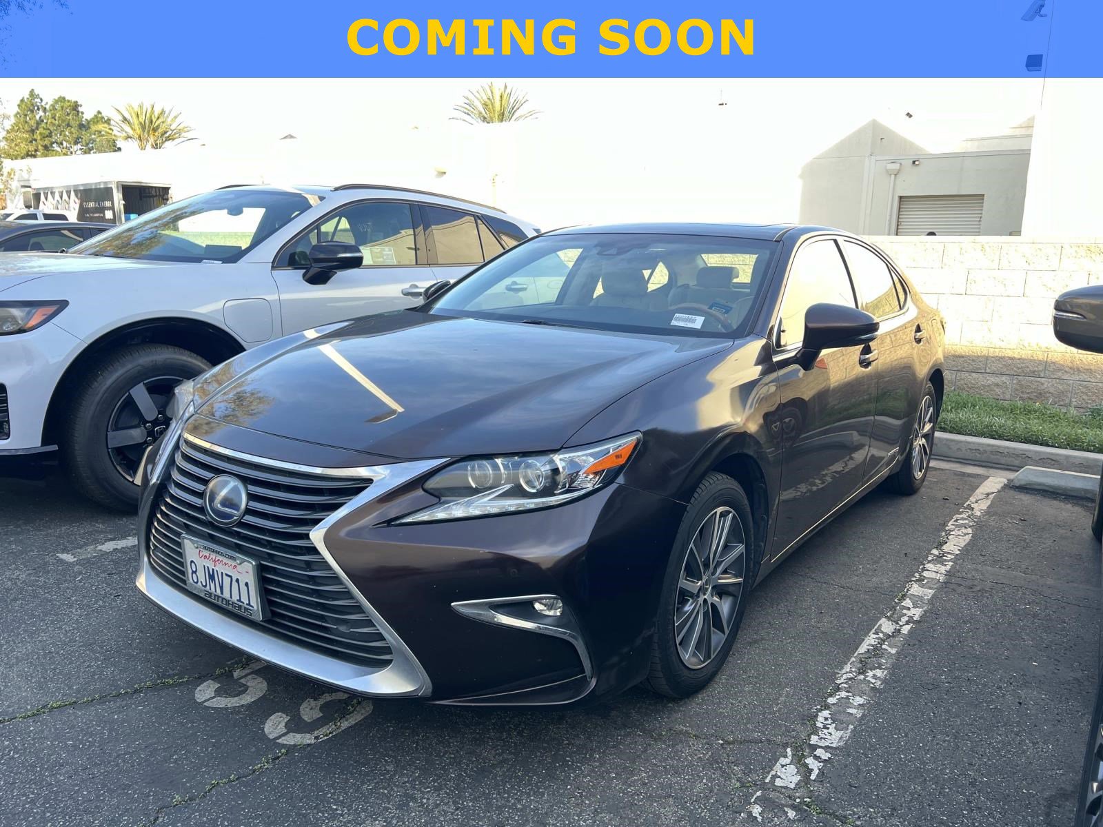 2016 Lexus ES Base's photo