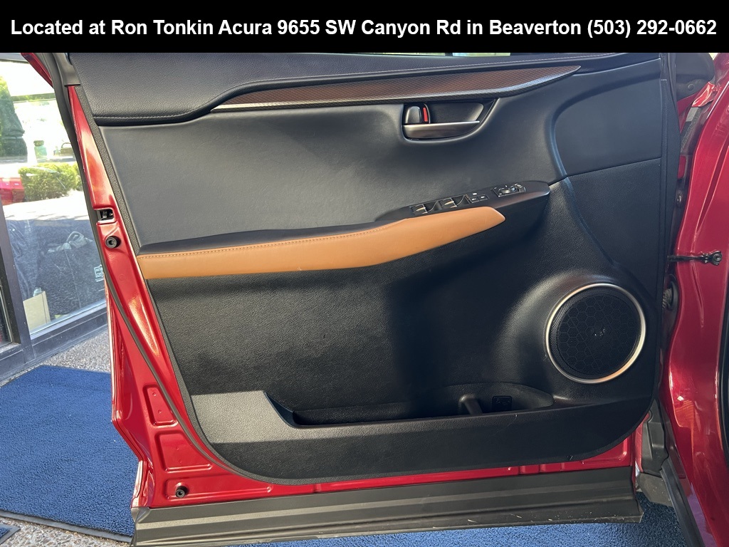 2018 Lexus NX 300 Luxury photo 10