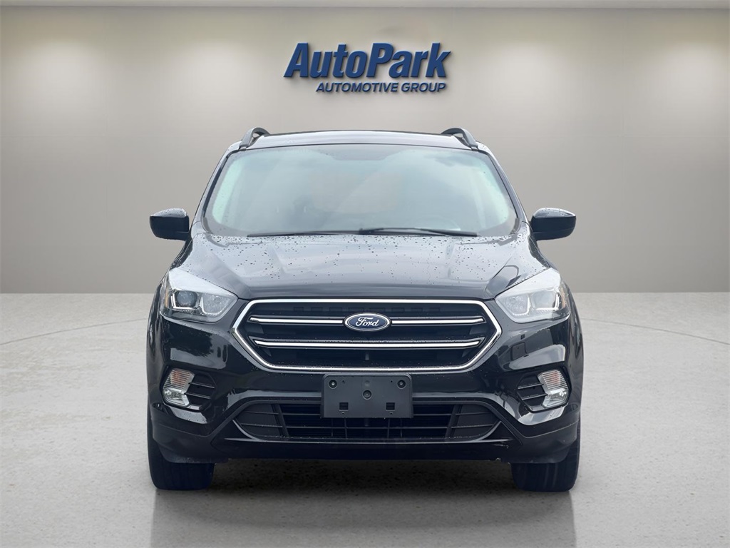 2019 Ford Escape SE photo 2