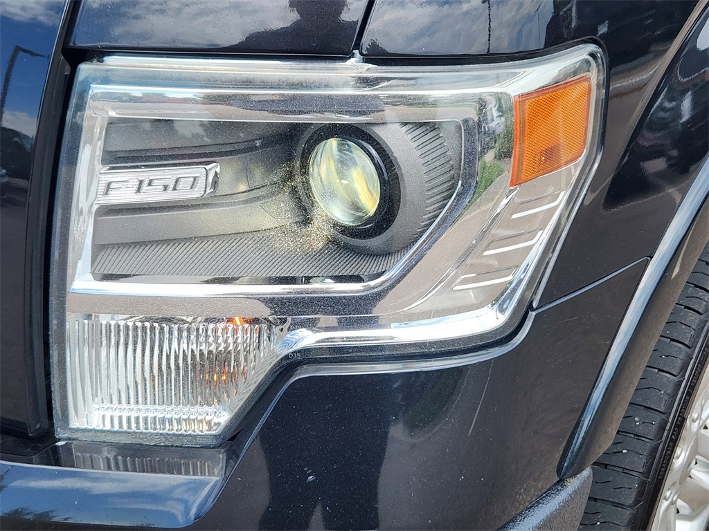 2014 Ford F-150 Limited photo 5