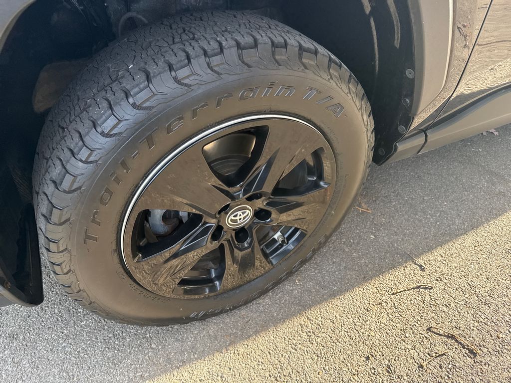 2019 Toyota RAV4 XLE photo 2