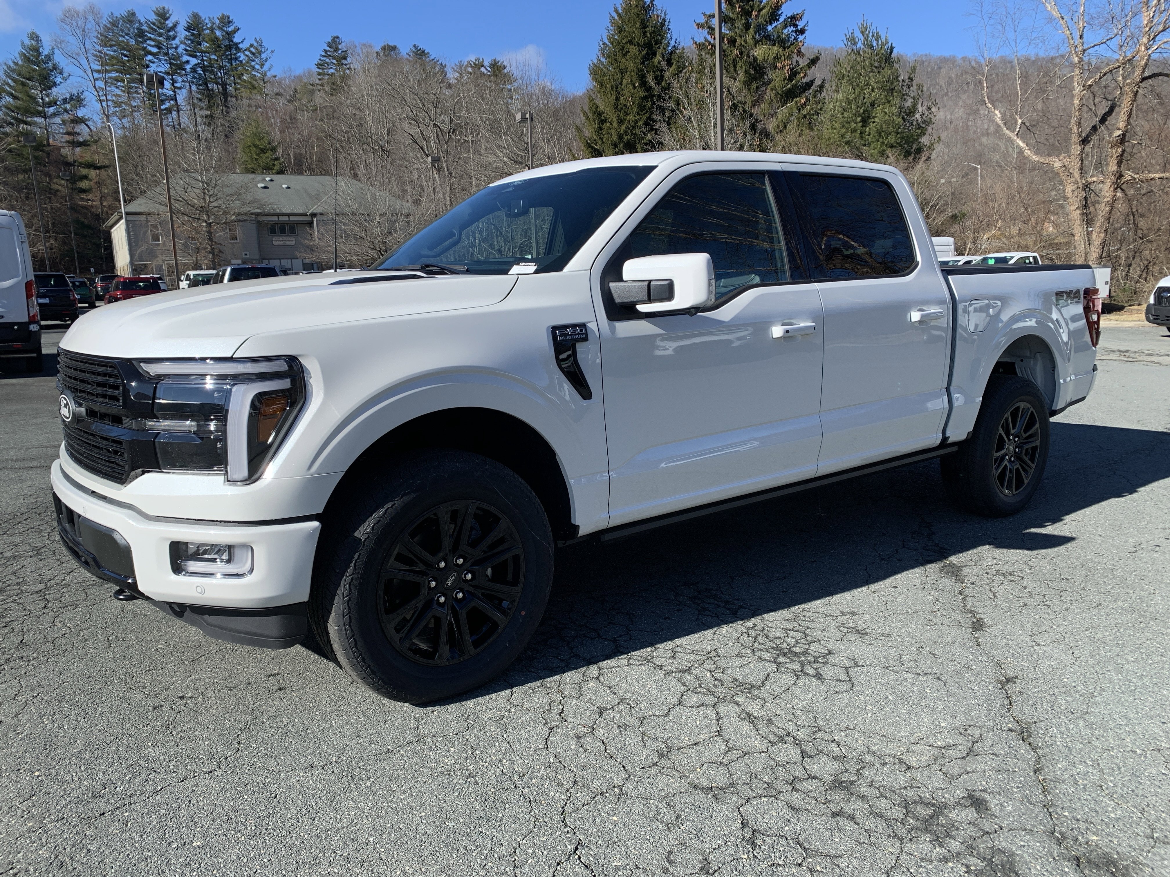 2025 Ford F-150 Platinum's photo