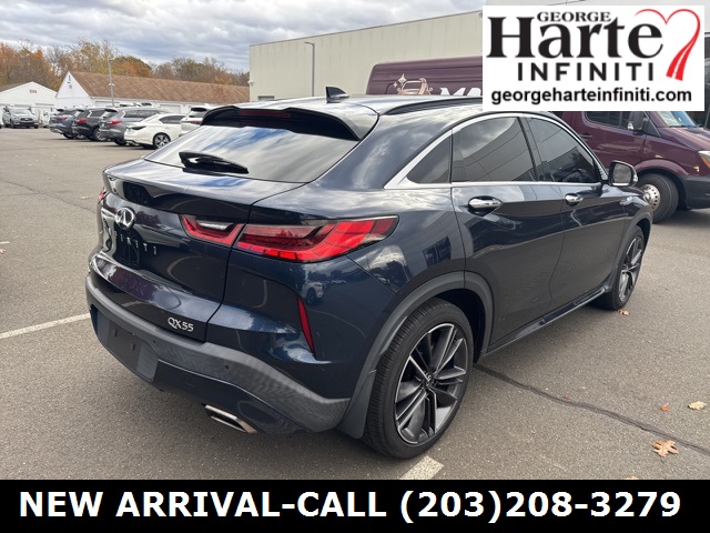 2022 Infiniti QX55 Sensory photo 3