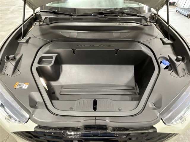 2025 Ford Mustang Mach-E Premium photo 20