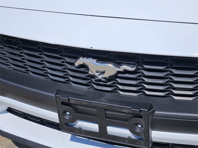 2024 Ford Mustang EcoBoost Premium photo 2