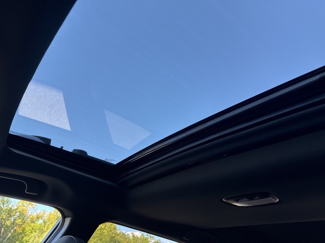 2025 Subaru Outback Wilderness photo 14