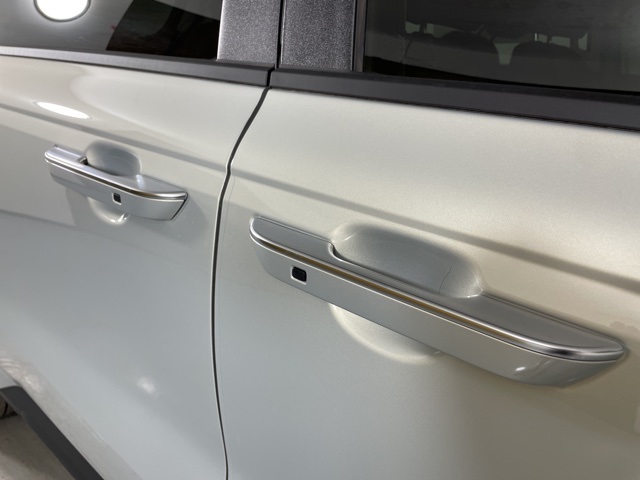 2026 Kia Carnival EX photo 10