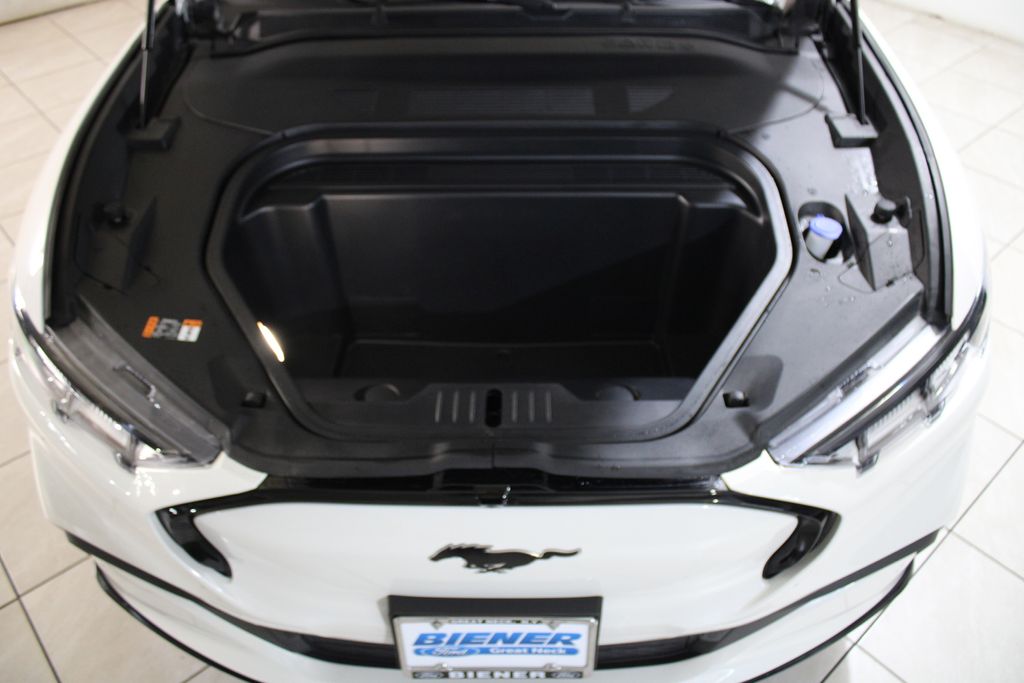 2021 Ford Mustang Mach-E Premium photo 10