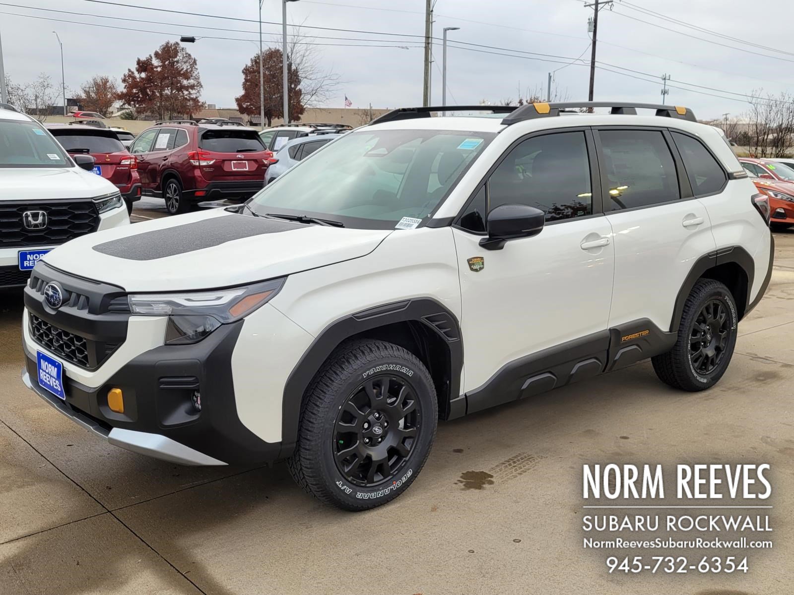 2026 Subaru Forester Wilderness's photo