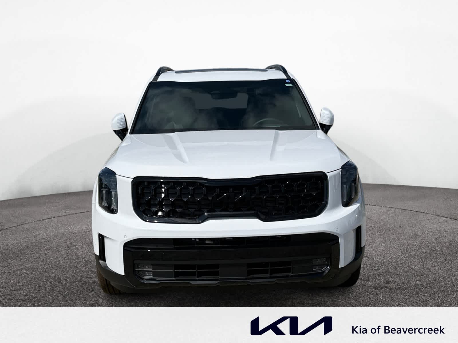 2025 Kia Telluride SX Prestige X-Line photo 7