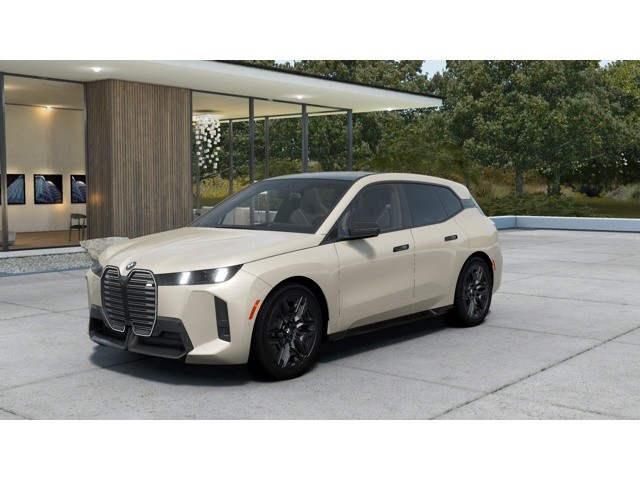 2026 BMW iX