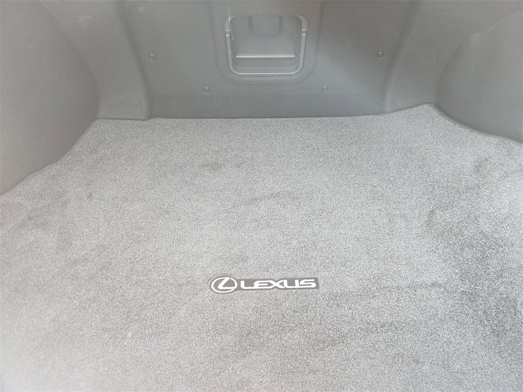 2019 Lexus ES 300h photo 27