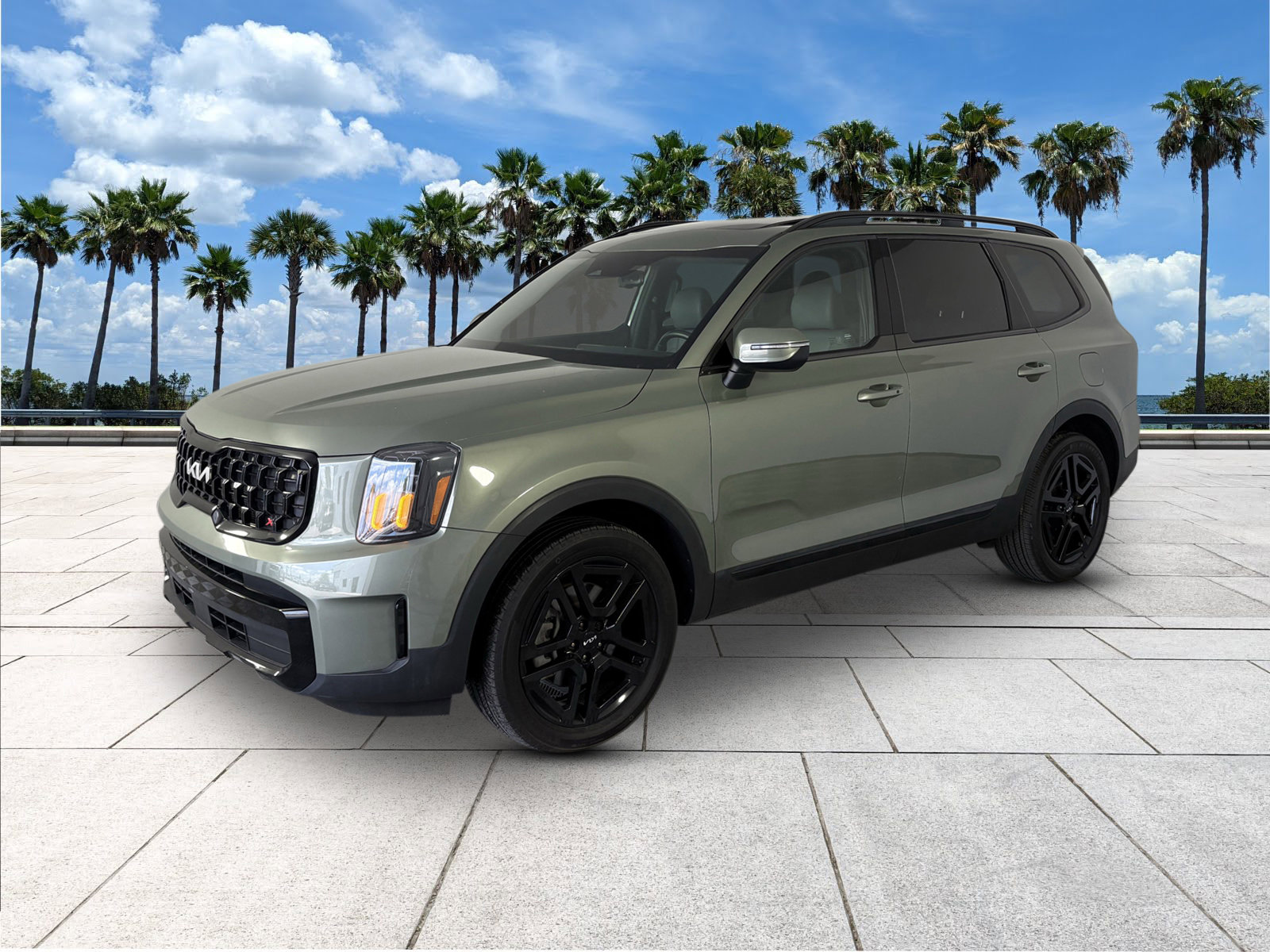 2024 Kia Telluride EX X-Line photo 2
