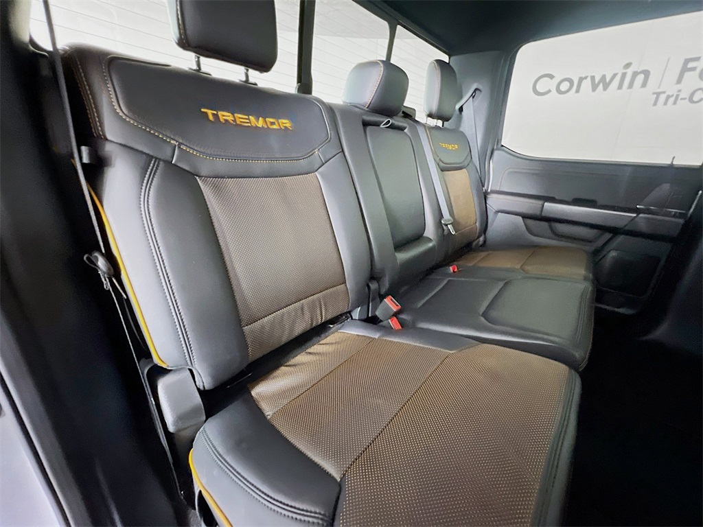 2025 Ford F-150 Tremor photo 16
