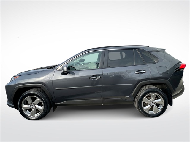 2019 Toyota RAV4 Limited's photo