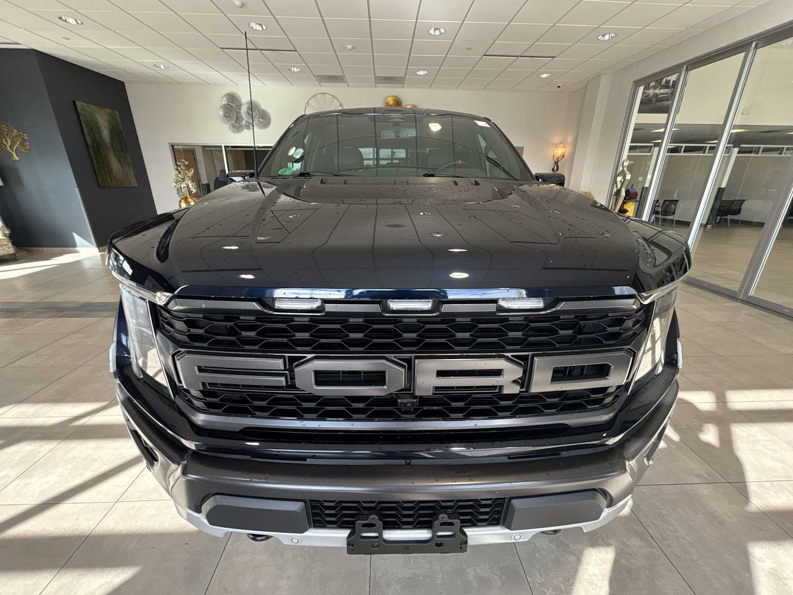 2022 Ford F-150 Raptor photo 8